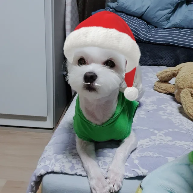 땡이엄마