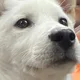당근맨맨