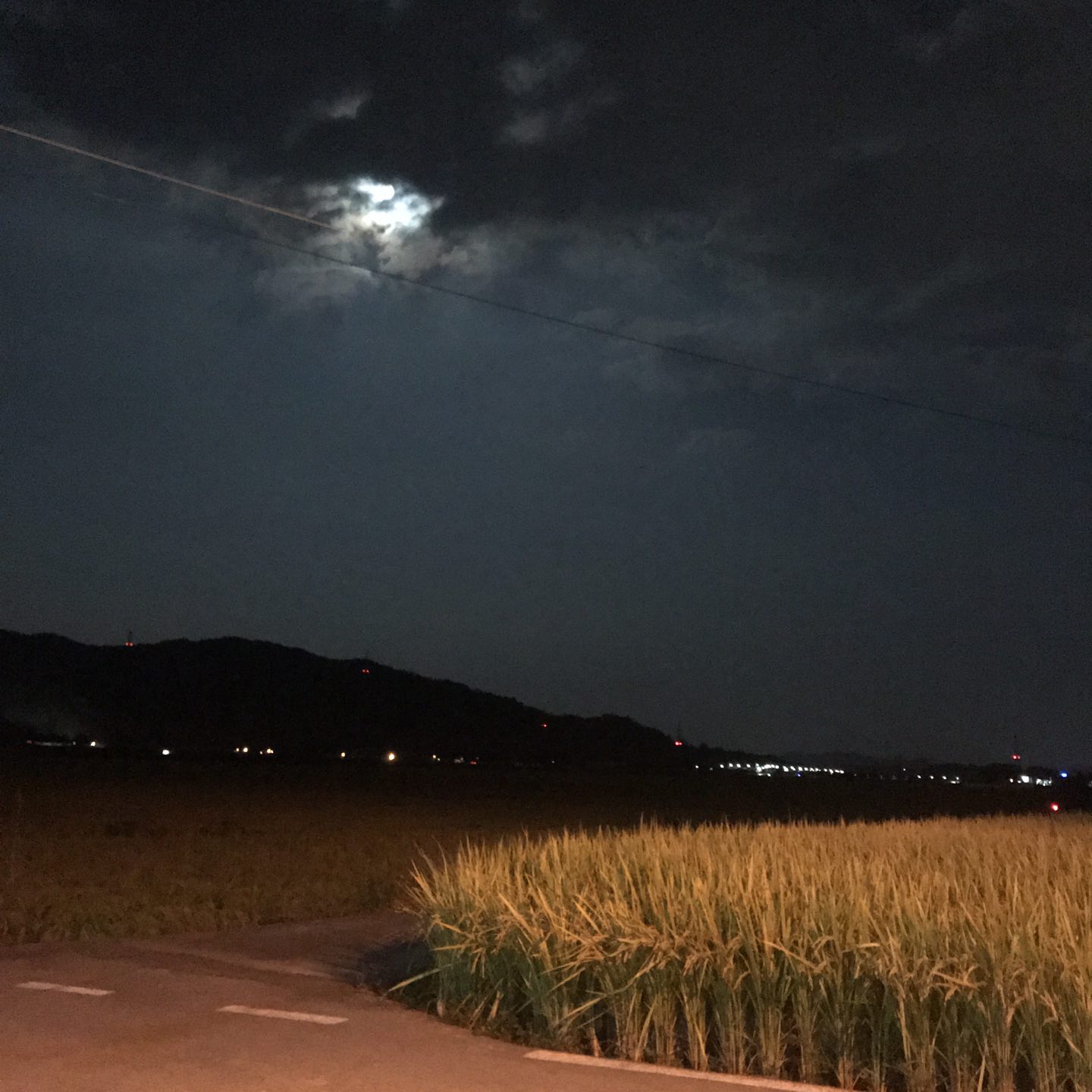 하이랑산책