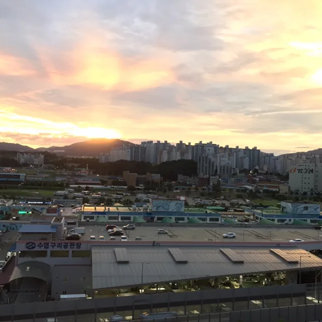당근이지