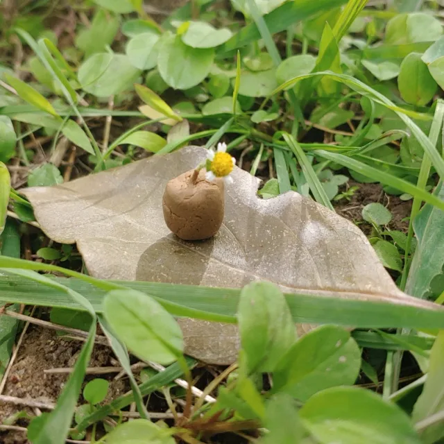 맘맘맘