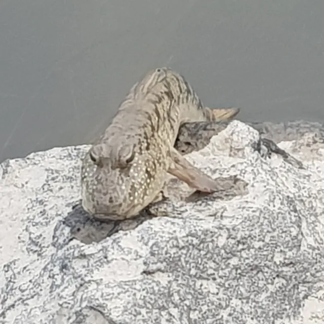 오늘도맑음