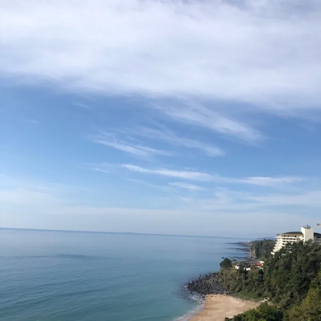 왕망구