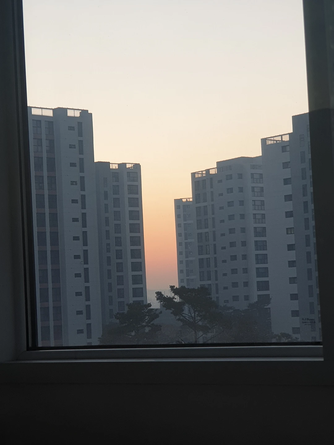 반애반