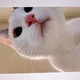 웅옹앵