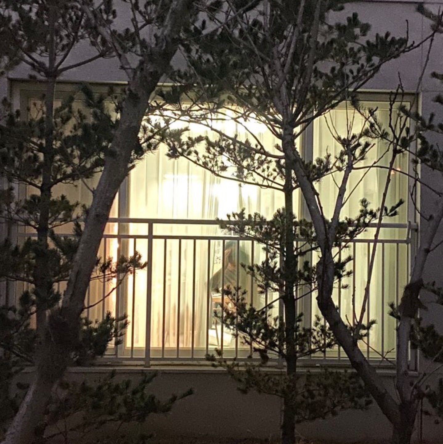 소원파