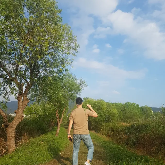 샐러리피클