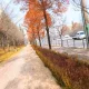 하늘이