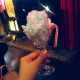 lollipop