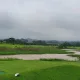 두아지들의엄마