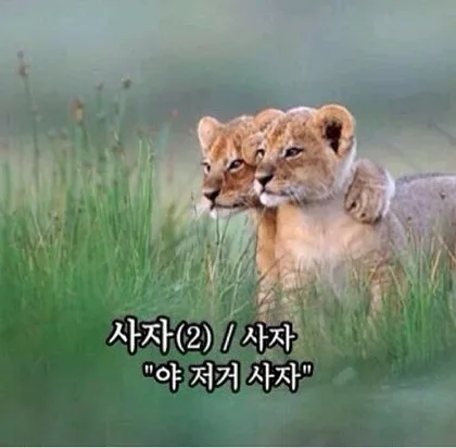 사자2