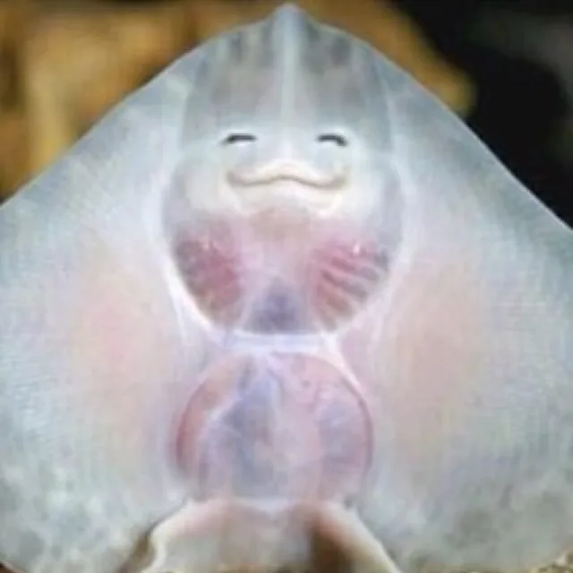 미소링