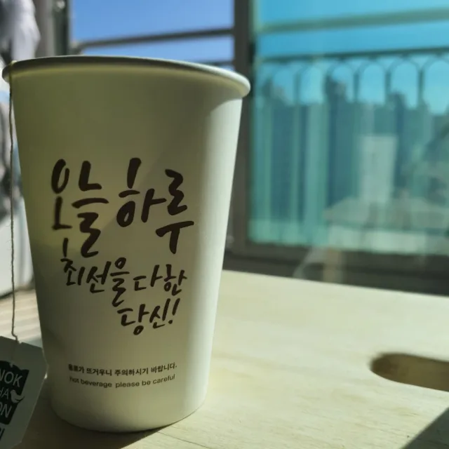 노다씨