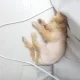 이태희과장
