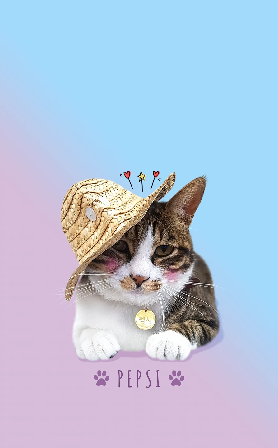 펩시