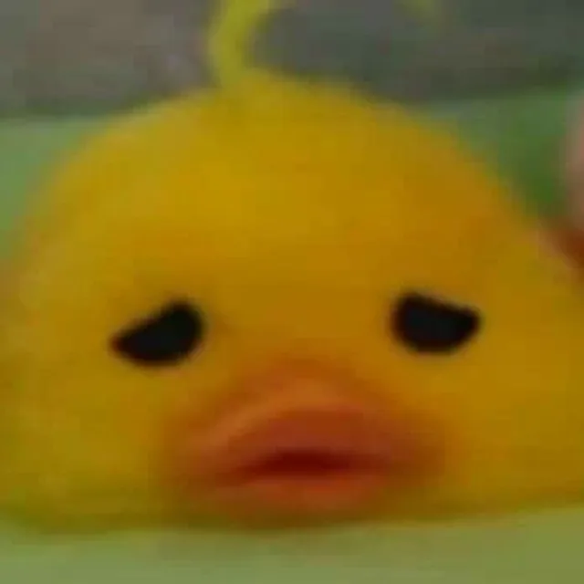 딩딩