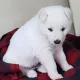 아이누리
