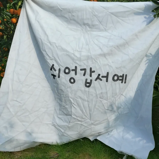 소중한하루