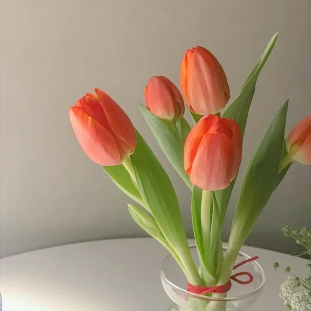 제이제리