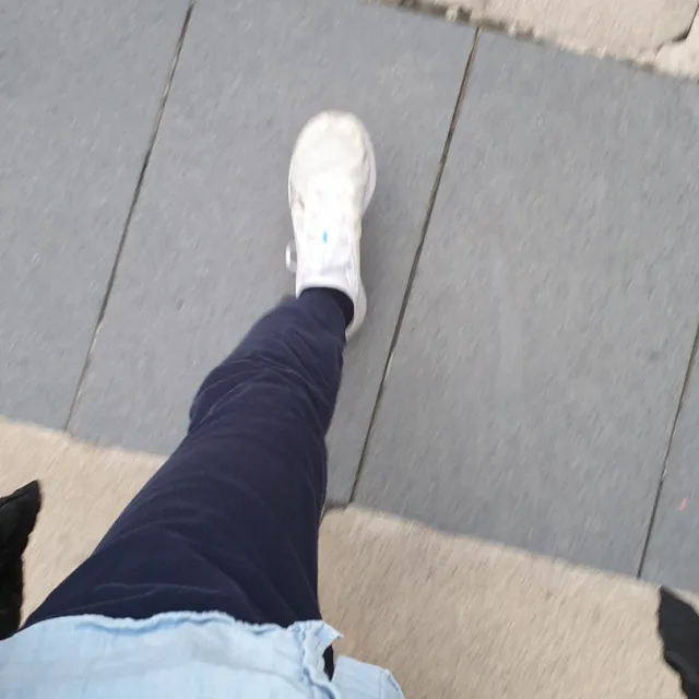 조랭이