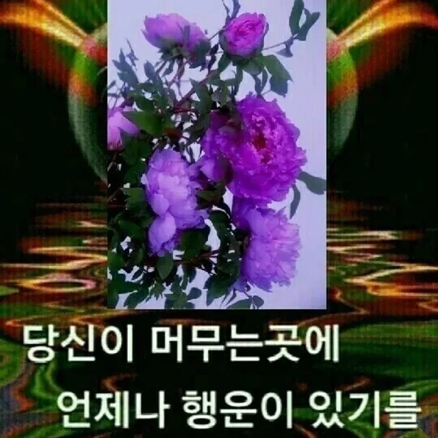 어쩌다당근