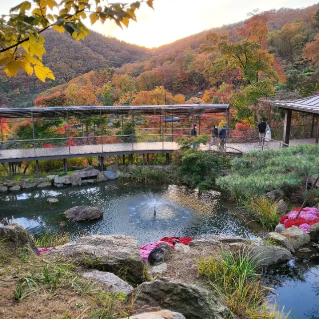별든사랑