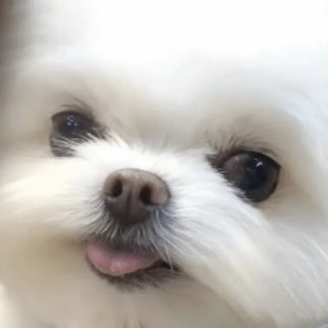 긍정