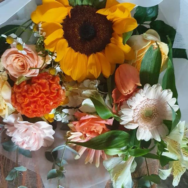 찐이야