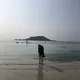파코