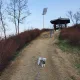 달콤란