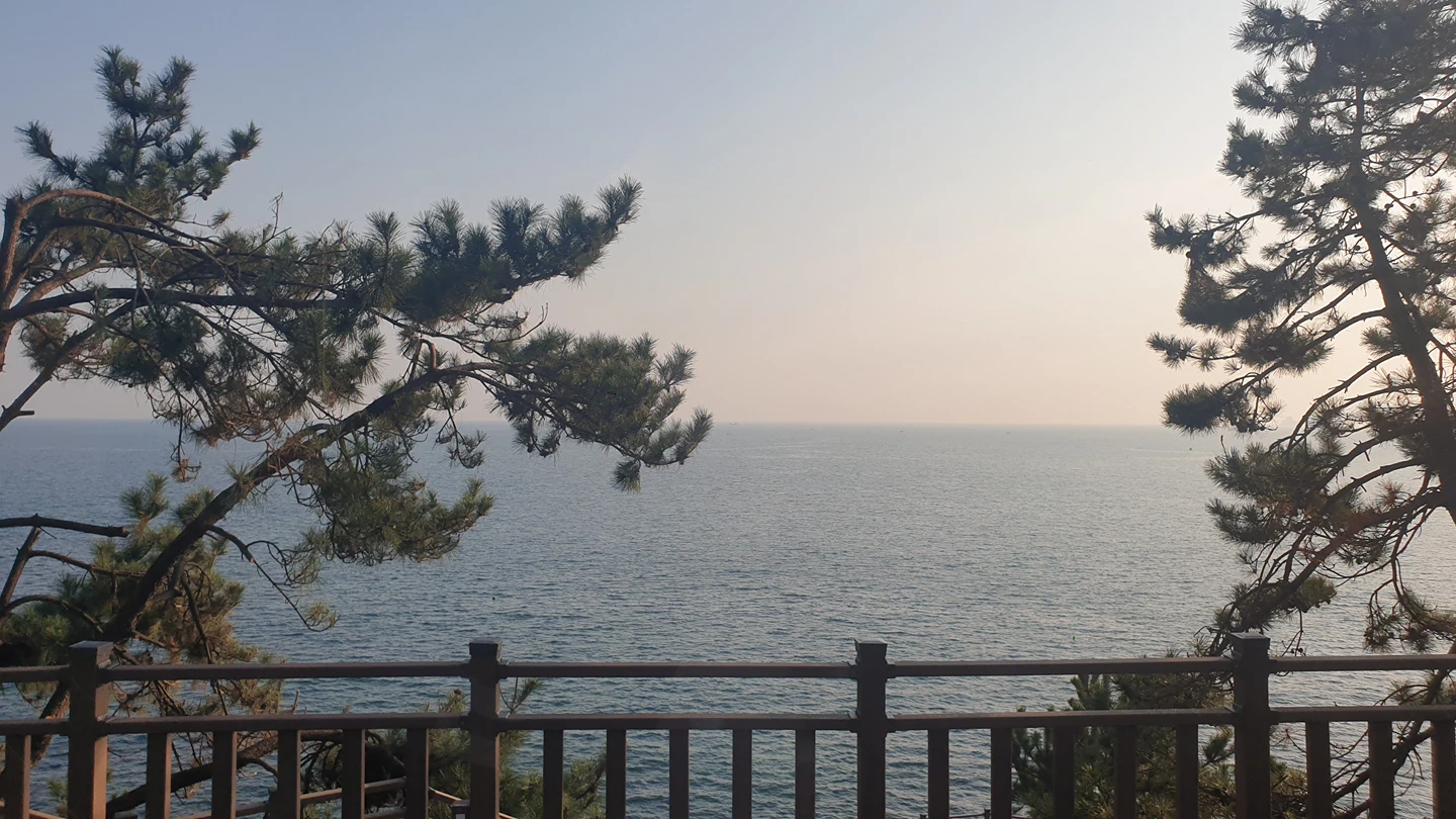 너와나