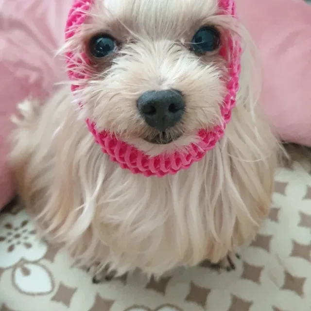 이쁜까밍