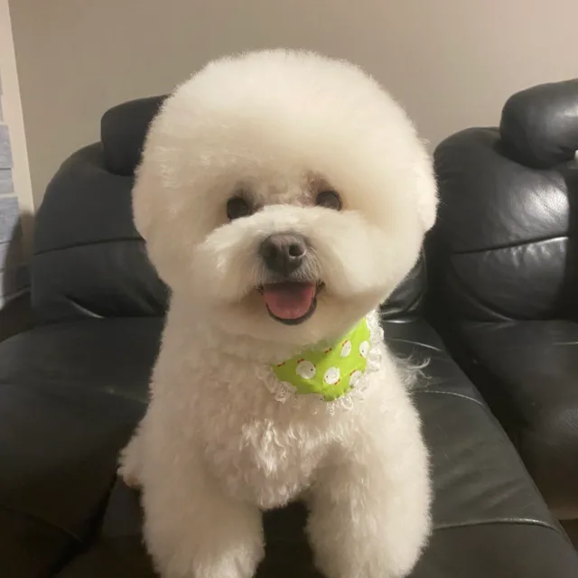 꿀떡맘