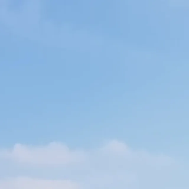 의뭉이