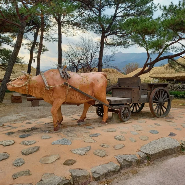 부엉이