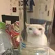 다블리