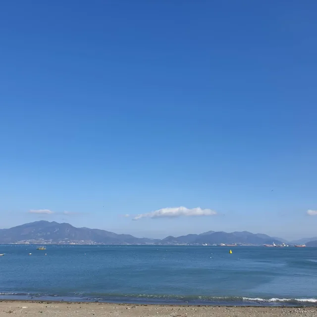 딸기닷껌