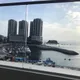 꼬끼오