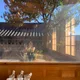 미뇽