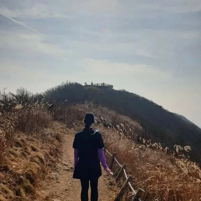 시별