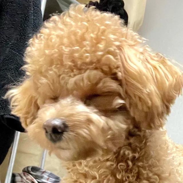 중촌동보안관