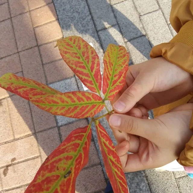 무진