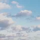 송도박
