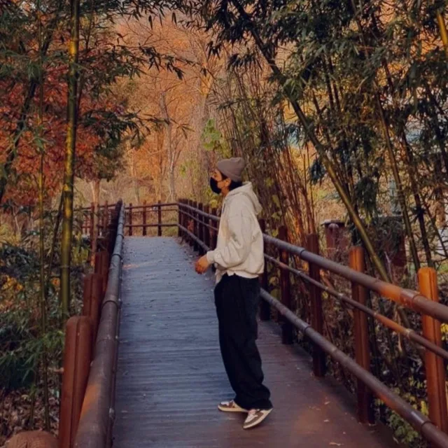 박쏭