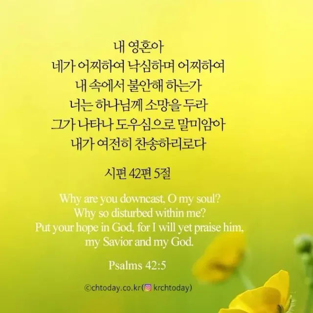 데이비드