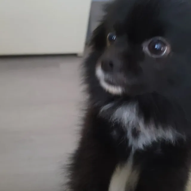 토씽
