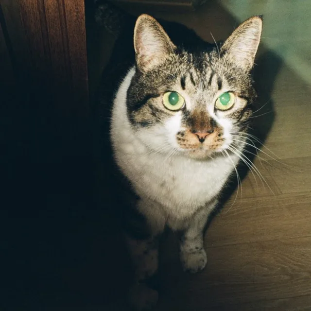 WAS