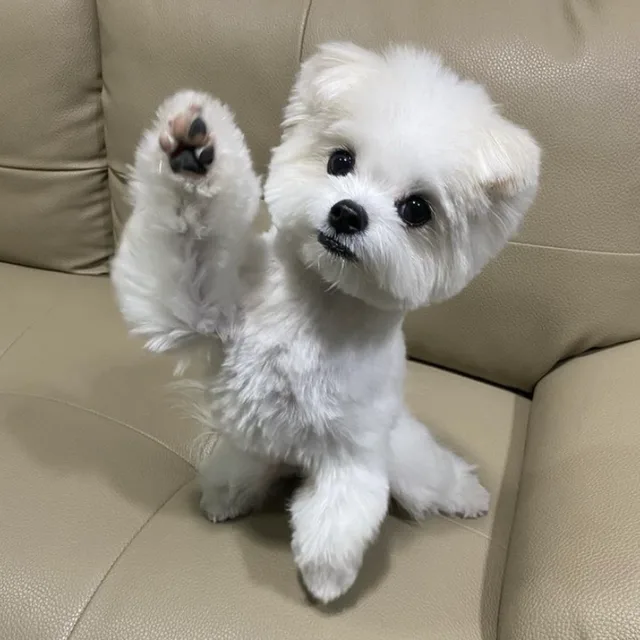 사람사랑