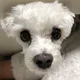 모모맘