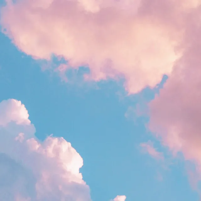 엔비